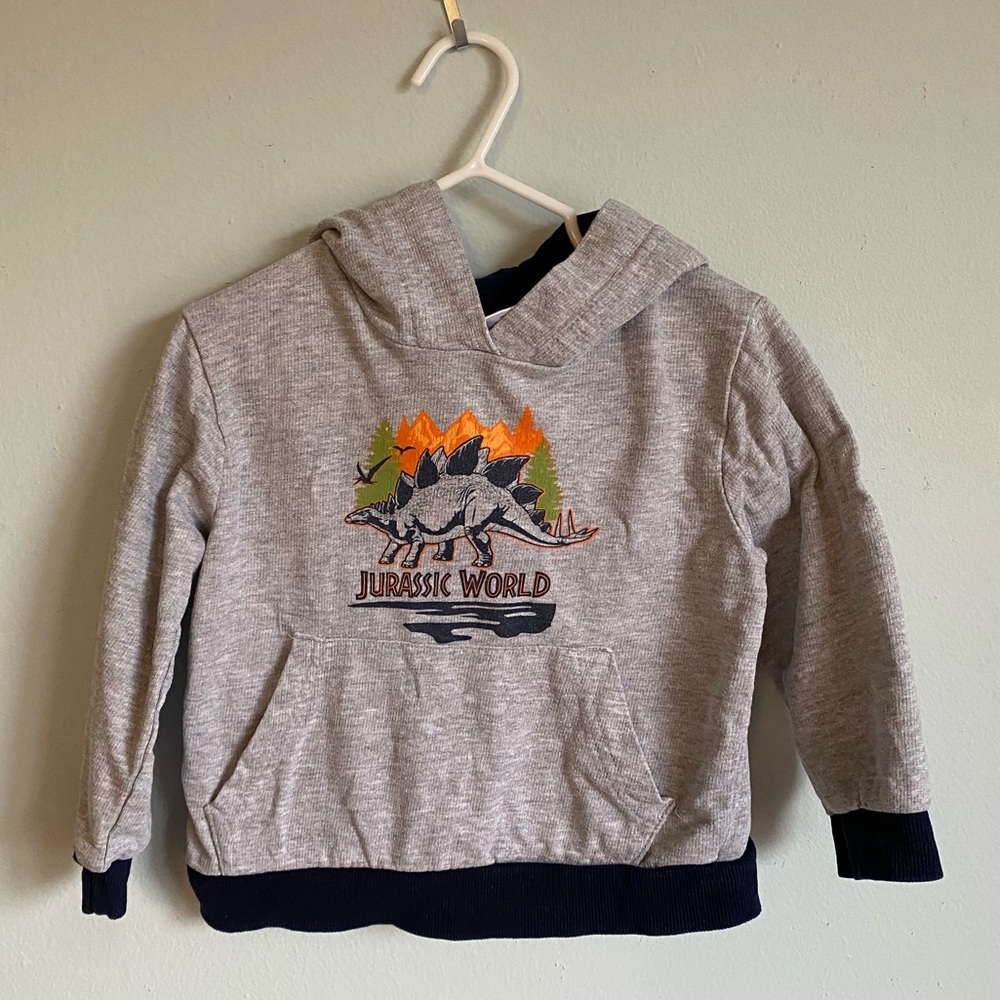 Kids Jurassic world hoodie